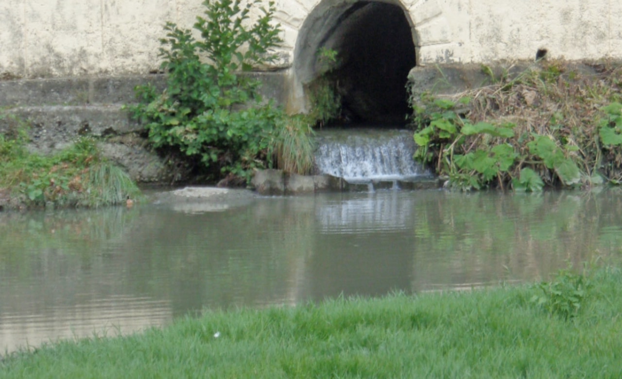 Фото Светланы Кравченко для &laquo;Кавказского узла&raquo;