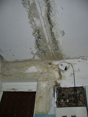 Счетчик электроэнергии заливает водой. Второй этаж, второй подъезд дома No.59 по ул.Седина, п.Энем, Адыгея. Фото "Кавказского Узла" Счетчик электроэнергии заливает водой. Второй этаж, второй подъезд дома No.59 по ул.Седина, п.Энем, Адыгея. Фото "Кавказского Узла"