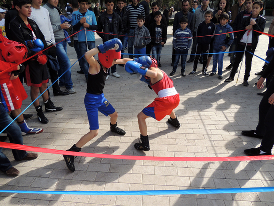 Боксёры на ринге... Боксёры на ринге...