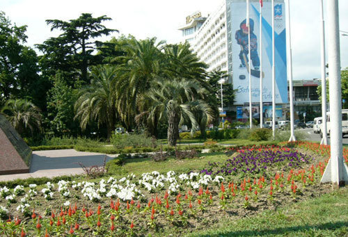 Центр Сочи. Фото с сайта www.autosaratov.ru