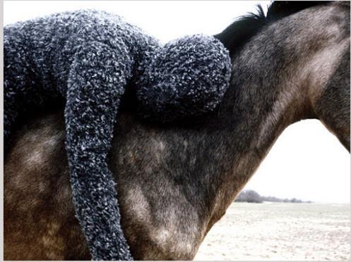 Фрагмент видеоинсталляции Таус Махачевой "Каракуль". 
Фото из архива Таус Махачевой 