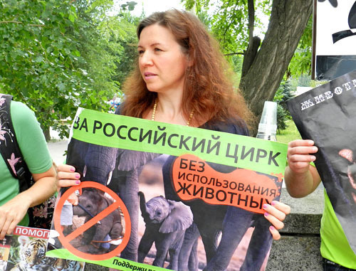 Пикет против использования животных в цирковых представлениях прошел в Волгограде. 3 августа 2013 г. Фото Татьяны Филимоновой для "Кавказского узла" Пикет против использования животных в цирковых представлениях прошел в Волгограде. 3 августа 2013 г. Фото Татьяны Филимоновой для "Кавказского узла"