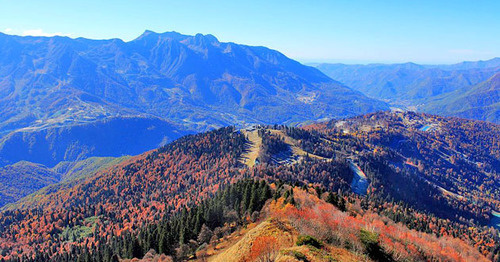 Сочинский заказник. Фото: SKas https://ru.wikipedia.org/ Сочинский заказник. Фото: SKas https://ru.wikipedia.org/
