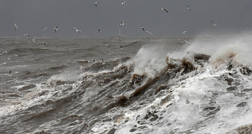 Шторм. Фото © Sputnik/ Сергей Мальгавко
https://sputnik-georgia.ru/incidents/20170226/235017167/Port-Poti-zakryt-iz-za-shtorma.html