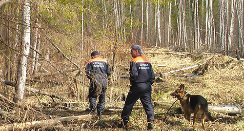 Сотрудники МЧС во время поиска в лесу. фото: http://xzm.northsport.ru Сотрудники МЧС во время поиска в лесу. фото: http://xzm.northsport.ru