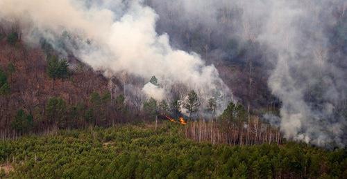 Природный пожар. Фото © Sputnik/ Игорь Агеенко
