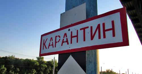 Карантинный пункт АЧС. Фото Вячеслава Ященко для "Кавказского узла" Карантинный пункт АЧС. Фото Вячеслава Ященко для "Кавказского узла"