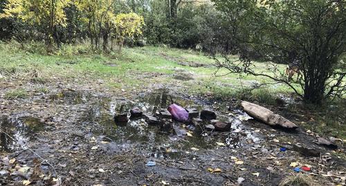 Мусор в Эльтавском лесу. Фото Патимат Махмудовой для "Кавказского узла" Мусор в Эльтавском лесу. Фото Патимат Махмудовой для "Кавказского узла"
