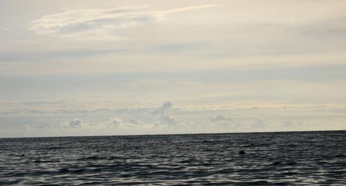 Чёрное море. Фото Нины Тумановой для "Кавказского узла"