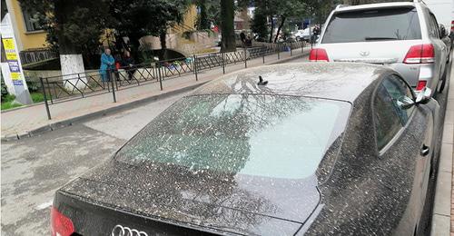 Цветные осадки выпали в Краснодарском крае. Сочи, 23 марта 2018 года. Фото Светланы Кравченко для "Кавказского узла" Цветные осадки выпали в Краснодарском крае. Сочи, 23 марта 2018 года. Фото Светланы Кравченко для "Кавказского узла"