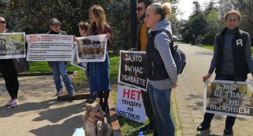 Участники митинга в защиту животных в Сочи, 14 апреля 2018 год. Фото: Светлана Кравченко для "Кавказского узла". Участники митинга в защиту животных в Сочи, 14 апреля 2018 год. Фото: Светлана Кравченко для "Кавказского узла".
