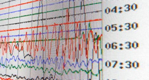 Показания сейсмографа. Фото REUTERS:
David Moir
