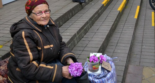 Пенсионерка торгует первоцветами. Фото Светлана Кравченко для "Кавказского узла" Пенсионерка торгует первоцветами. Фото Светлана Кравченко для "Кавказского узла"