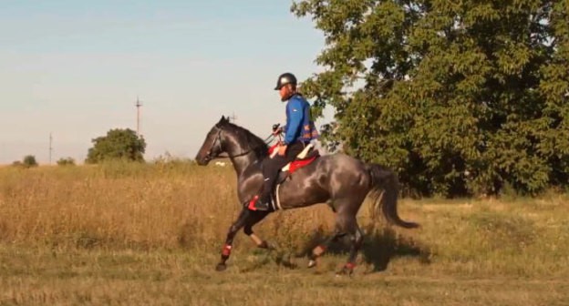 Участник "Черкесского дерби". Кадр видео канала Circassian horseman https://www.youtube.com/watch?v=03jzC634LIQ&feature=emb_logo Участник "Черкесского дерби". Кадр видео канала Circassian horseman https://www.youtube.com/watch?v=03jzC634LIQ&feature=emb_logo