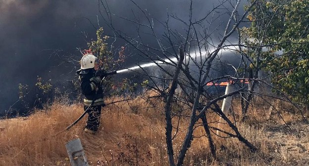Степной пожар в Волгоградской области. Фото: пресс-служба МЧС России https://34.mchs.gov.ru/ Степной пожар в Волгоградской области. Фото: пресс-служба МЧС России https://34.mchs.gov.ru/
