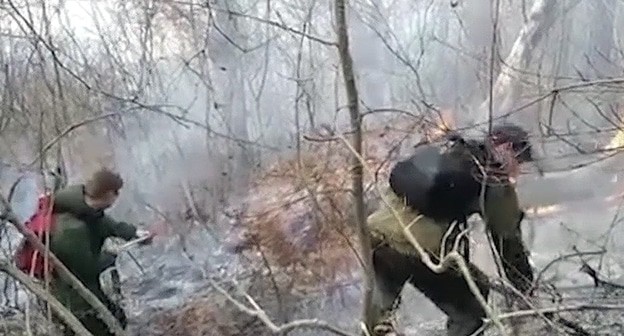 Ликвидация пожара в в Сочинском нацпарке 03.01.21. Кадр видео TVC https://www.tvc.ru/news/show/id/201036/ Ликвидация пожара в в Сочинском нацпарке 03.01.21. Кадр видео TVC https://www.tvc.ru/news/show/id/201036/