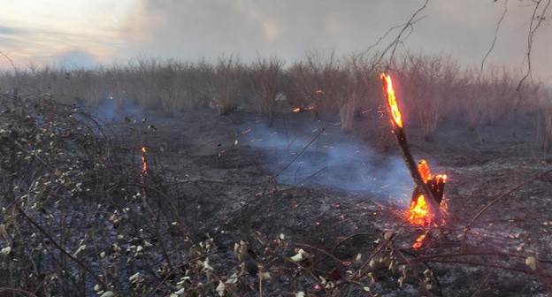 Ландшафтный пожар. Фото: пресс-служба МЧС Абхазии https://mchsra.info/ Ландшафтный пожар. Фото: пресс-служба МЧС Абхазии https://mchsra.info/