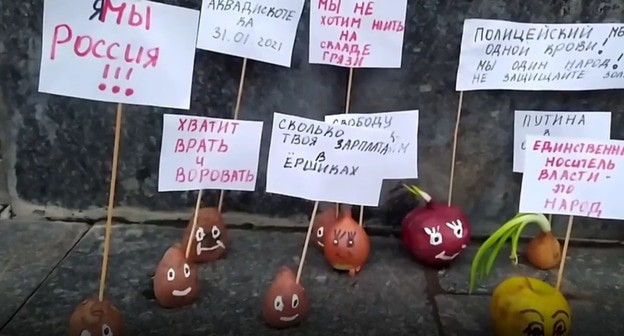 "Овощной пикет". скриншот видео канала Анастасии Емельяновой "Овощной пикет". скриншот видео канала Анастасии Емельяновой