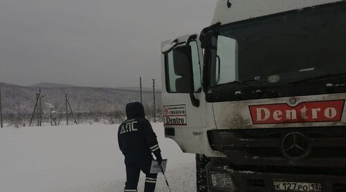 Сотрудник ДПС у большегрузного автомобиля в снегопад. Фото УГИБДД ГУ МВД России Сотрудник ДПС у большегрузного автомобиля в снегопад. Фото УГИБДД ГУ МВД России
