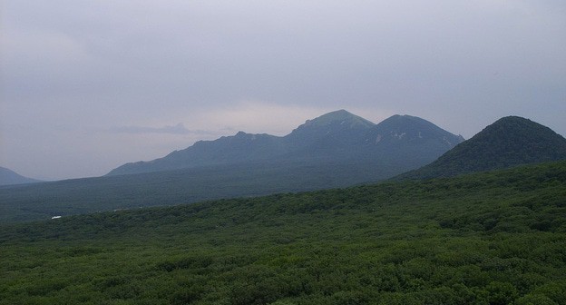 Бештаугорский заказник. Фото: LxAndrew https://ru.wikipedia.org/ Бештаугорский заказник. Фото: LxAndrew https://ru.wikipedia.org/