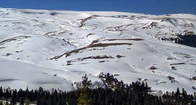 Плато Лаго-Наки. Фото: официальный сайт Экологическая вахта по Северного Кавказу http://www.ewnc.org/node/27357 Плато Лаго-Наки. Фото: официальный сайт Экологическая вахта по Северного Кавказу http://www.ewnc.org/node/27357