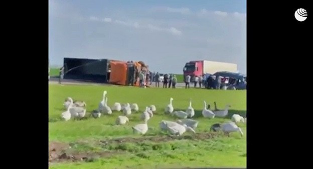 На месте ДТП на Ставрополье. Скриншот видео РИА "Новости" https://ria.ru/20210430/dtp-1730741486.html На месте ДТП на Ставрополье. Скриншот видео РИА "Новости" https://ria.ru/20210430/dtp-1730741486.html