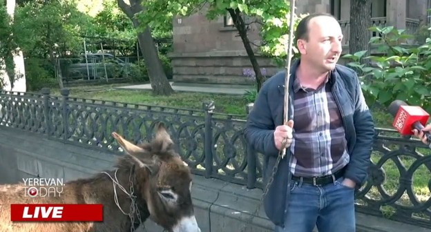 Противник Пашиняна перед зданием парламента в Ереване. Кадр видео YerevanToday Противник Пашиняна перед зданием парламента в Ереване. Кадр видео YerevanToday