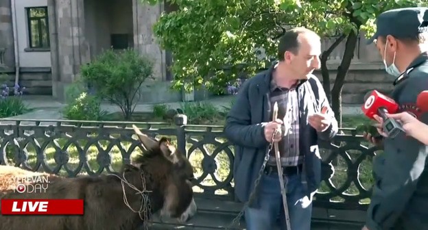 Противник Пашиняна перед зданием парламента в Ереване. Кадр видео YerevanToday Противник Пашиняна перед зданием парламента в Ереване. Кадр видео YerevanToday