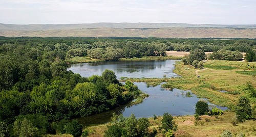 Река Кубань. Фото: Alexey Komarov https://ru.wikipedia.org Река Кубань. Фото: Alexey Komarov https://ru.wikipedia.org