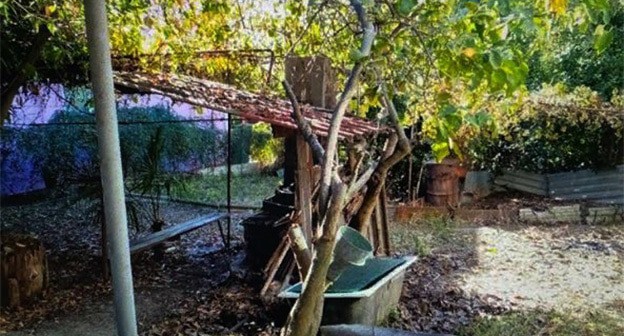 Участок жительницы Адлера Марии Пыдык. Сочи, июнь 2021 г. Фото Светланы Кравченко для "Кавказского узла" Участок жительницы Адлера Марии Пыдык. Сочи, июнь 2021 г. Фото Светланы Кравченко для "Кавказского узла"
