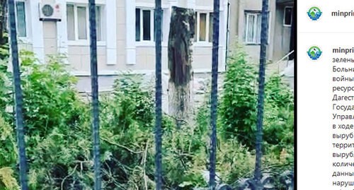 Территория больницы № 2 в Махачкале. Скриншот публикации Минприроды Дагестана в Instagram https://www.instagram.com/p/CQ2xE2RMX2H/ Территория больницы № 2 в Махачкале. Скриншот публикации Минприроды Дагестана в Instagram https://www.instagram.com/p/CQ2xE2RMX2H/