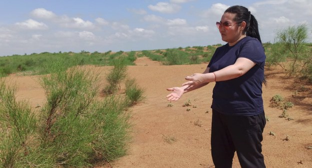 Предприниматель Баира Цыгаменко на одном из участков пустыни, где в 2019 году был посажен джузгун. Поселок Бергин Юстинского района Калмыкии, 6 июля. Фото Баиры Цыгаменко для "Кавказского узла". Предприниматель Баира Цыгаменко на одном из участков пустыни, где в 2019 году был посажен джузгун. Поселок Бергин Юстинского района Калмыкии, 6 июля. Фото Баиры Цыгаменко для "Кавказского узла".