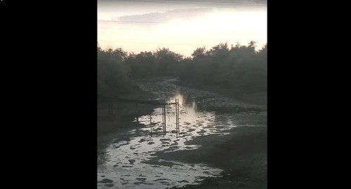 Массовая гибель рыбы в Камызякском районе Астраханской области. Скриншот сообщения канала Астрахань Онлайн| https://www.instagram.com/astrakhan.online/ Массовая гибель рыбы в Камызякском районе Астраханской области. Скриншот сообщения канала Астрахань Онлайн| https://www.instagram.com/astrakhan.online/