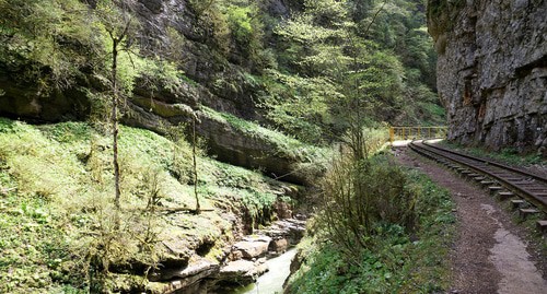 Гуамское ущелье. Фото Vyacheslav Argenberg https://ru.wikipedia.org/wiki/Гуамское_ущелье#/media/Файл:Guam_canyon,_Гуамское_ущелье,_лес,_Западный_Кавказ.jpg Гуамское ущелье. Фото Vyacheslav Argenberg https://ru.wikipedia.org/wiki/Гуамское_ущелье#/media/Файл:Guam_canyon,_Гуамское_ущелье,_лес,_Западный_Кавказ.jpg