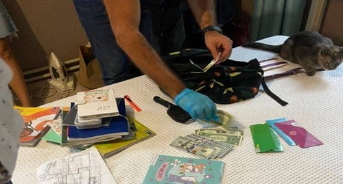 обыск в квартире Натальи Брусовой. фото: https://t.me/avtozaklive/11414 обыск в квартире Натальи Брусовой. фото: https://t.me/avtozaklive/11414