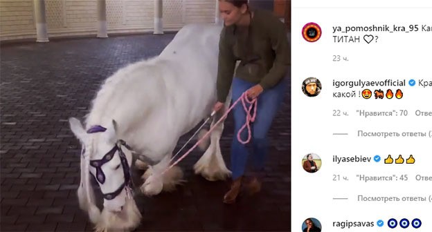 Жеребец породы тинкер Титан. Скриншот видео https://www.instagram.com/p/CUKtCLYD_Od/ Жеребец породы тинкер Титан. Скриншот видео https://www.instagram.com/p/CUKtCLYD_Od/
