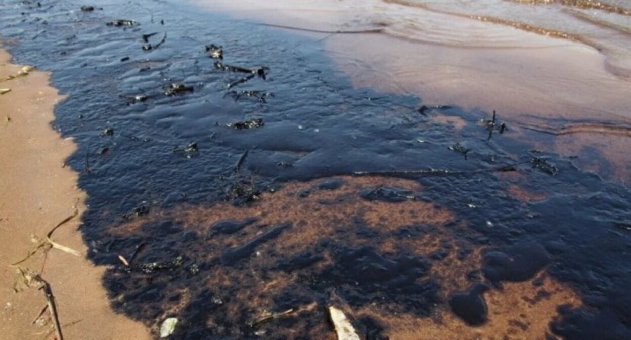Разлив нефти. Фото: Елена Синеок, "Юга.ру" Разлив нефти. Фото: Елена Синеок, "Юга.ру"