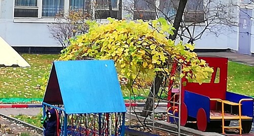 Территория детского сада. Фото Нины Тумановой для "Кавазского узла" Территория детского сада. Фото Нины Тумановой для "Кавазского узла"