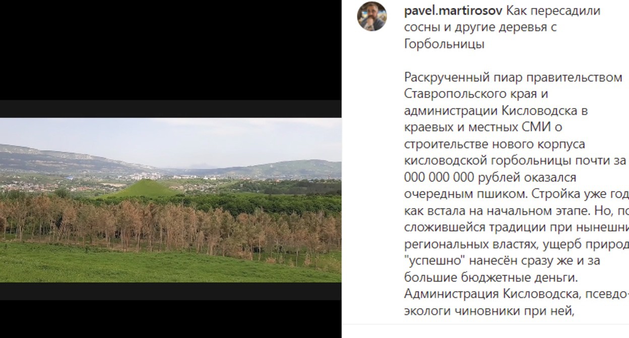 Погибшие после пересадки сосны. Скриншот сообщения канала Павел Мартиросов https://www.instagram.com/p/CQqWEi-oguQ/ Погибшие после пересадки сосны. Скриншот сообщения канала Павел Мартиросов https://www.instagram.com/p/CQqWEi-oguQ/