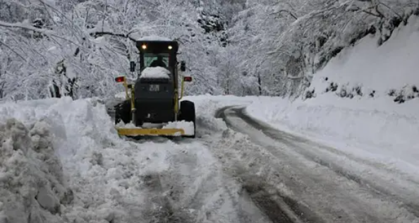 Спецтехника на Военно-Грузинской дороге. Фото: пресс-служба дорожного департамента Грузии FB / Roads Department of Georgia https://www.facebook.com/georoad.ge/
