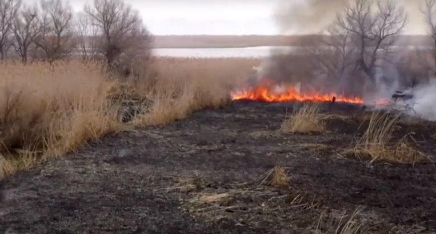 Пожар в Астраханском государственном заповеднике. Фото http://astrakhan-news.net/politics/2022/03/23/99089.html Пожар в Астраханском государственном заповеднике. Фото http://astrakhan-news.net/politics/2022/03/23/99089.html