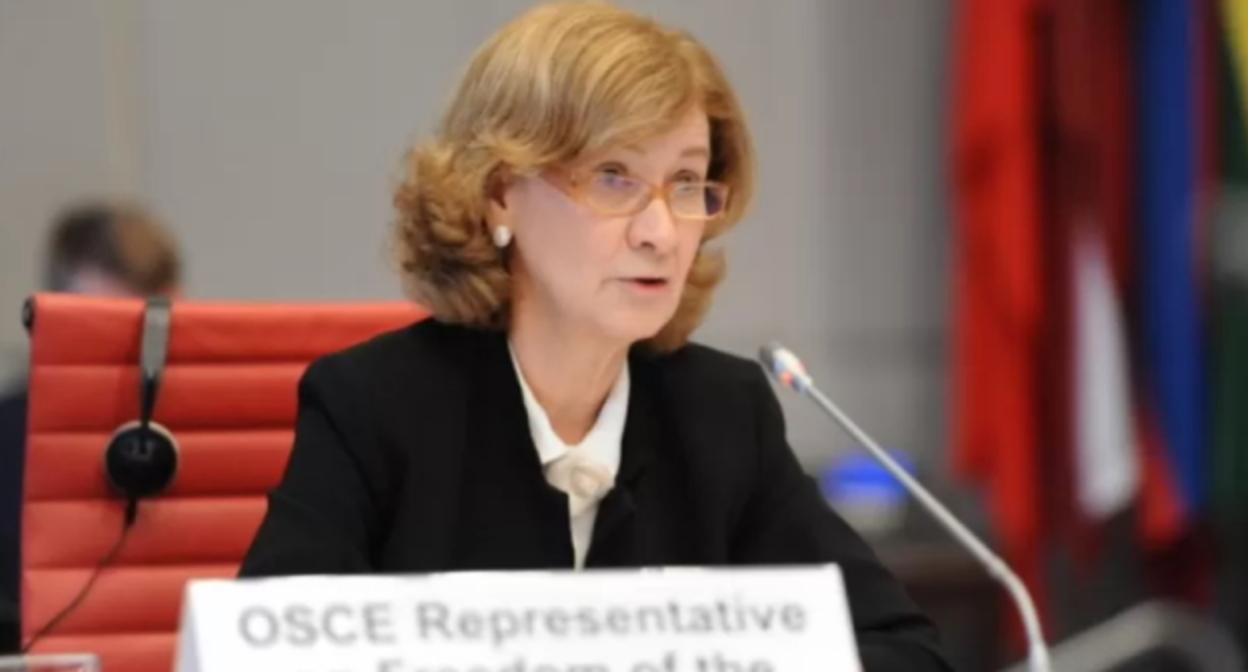 Тереза Рибейро, фото: пресс-служба ОБСЕ https://www.osce.org/ru Тереза Рибейро, фото: пресс-служба ОБСЕ https://www.osce.org/ru