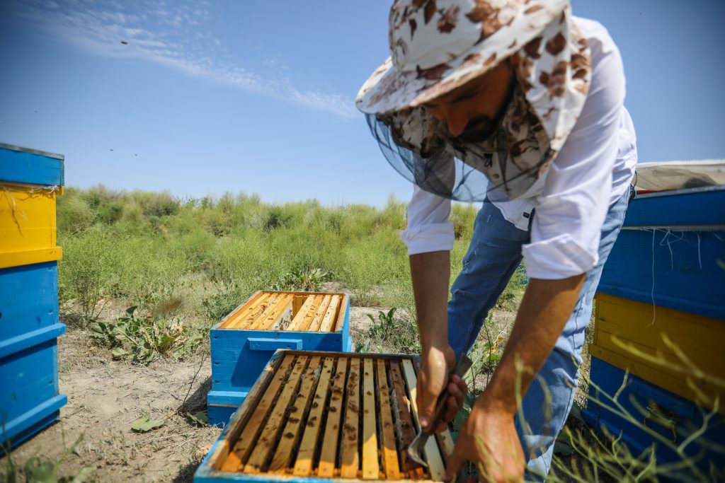 Планы на будущее Эльвина связаны не с журналистикой, а с пчеловодством. Фото: Али Казымов