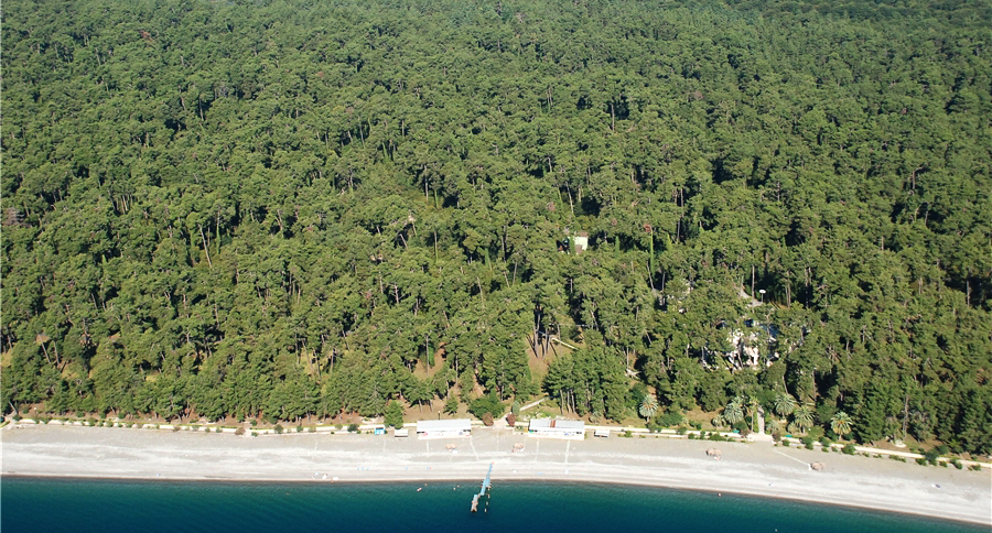 Панорама госдач в Пицунде. Фото сделано с мотодельтаплана https://delvaneo.ru/journalism/gosdacha-khrushcheva/istoriya-stroitelstva-gosdach-8-9-10-v-pitsunde.html
