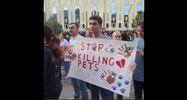 Акция в Тбилиси, стоп-кадр видео телеграм-канала https://t.me/SputnikGeorgia Акция в Тбилиси, стоп-кадр видео телеграм-канала https://t.me/SputnikGeorgia