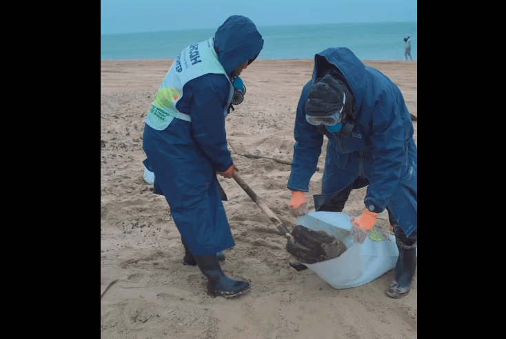 Волонтеры фонда "Инсан" очищают пляжи на Кубани. Стоп-кадр видео из telegram-канала фонда "Инсан" от 02.01.25, https://t.me/fondinsan/2939.

