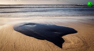 Мазут на пляже. Иллюстрация создана 