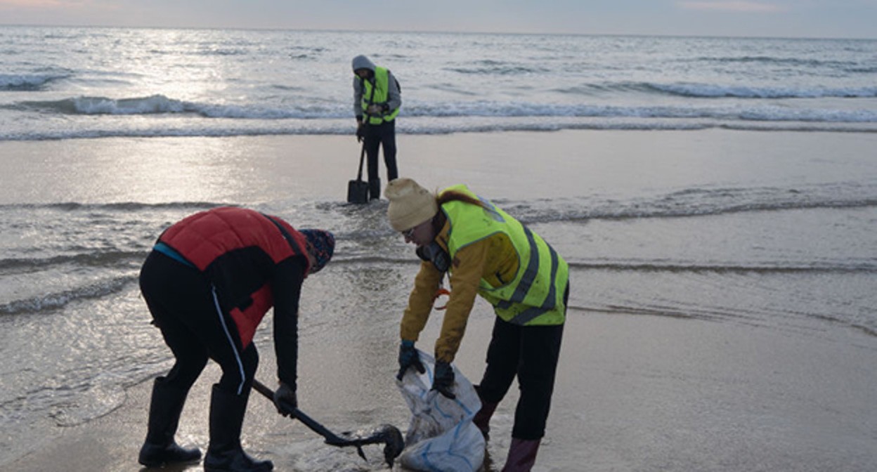 Уборка мазута с пляжей в Анапе. Фото Полины Безверхой, "Юга.ру"