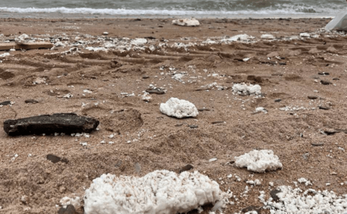 Выбросы белого цвета на анапских пляжах. Скриншот фото из Telegram-канала Романа Пукалова от 05.04.25,https://t.me/Roman_eco/598.