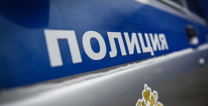 Полицейский автомобиль. Фото Елены Синеок, Юга.ру